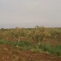 کود و سم با ۳۰ درصد تخفیف