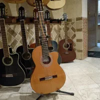 گیتار کنسرتی حرفه ای پیکاپدار اسپانیایی