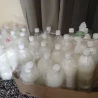 دوغ شتر