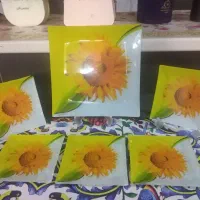 ظروف سرو و پذیرایی
