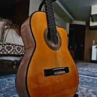 گیتار mv2+