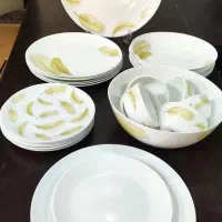 غذا خوری ارکوپال