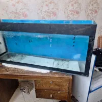 اکواریوم 120 در 50 در 30 فروش یامعاوضه