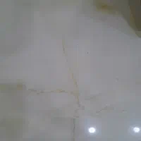 رهن همکف
