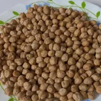 نخود تازه