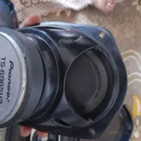 باند پاینور