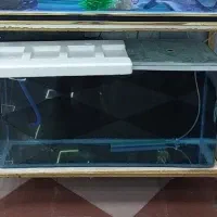 اکواریوم شیشه خم