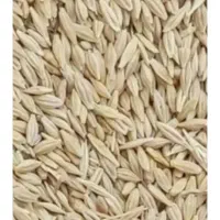 جومحلی سراک