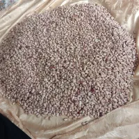 لوبیا چیتی محلی مخصوص بزر و خوراک کیلوی 4500000