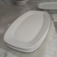 سه عدد دیس به شکل مستطیل وبیضی