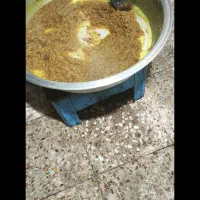 پیاز سرخ شده