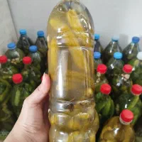 خیارشور ویژه خونگی