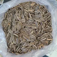 تخمه کانادایی درجه یک