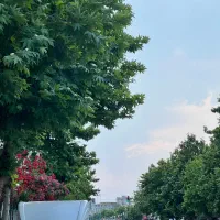 اجاره-واحد-تجاری-خیابان-مطهری