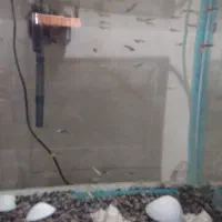 ماهی گوپی و اکواریوم