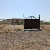 فروش باغ آماده در رند