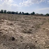 زمین دوبله آینده دار