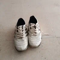 کفش ورزشی سایز 41|کیف، کفش، کمربند|اردبیل, |دیوار