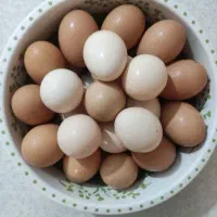تخم مرغ بومی
