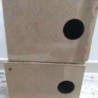 لانه لونه عروس هلندی.طوطی برزیلی .گیرینچیک خورشیدی