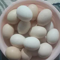تخم مرغ محلی