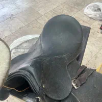 زین اسب یک سال کار