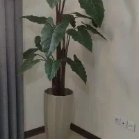 درختچه وگل مصنوعی