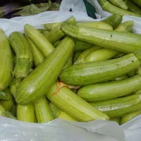 تره بار