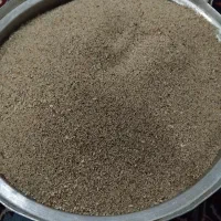 بذر دانه روغنی و دارویی