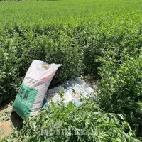 فروش یونجه اعلا