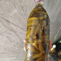 خیارشور و آبغوره  شیرازی
