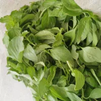 سبزی محلی