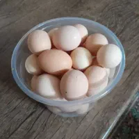 تخم مرغ محلی