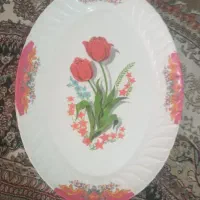 دیس بزرگ