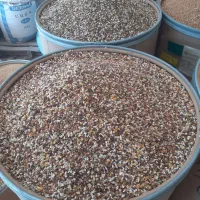 مخلوط و دانه کفتری
