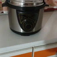 زودپزجی پزبرقی