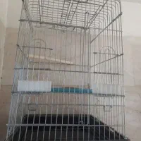 قفس 1033