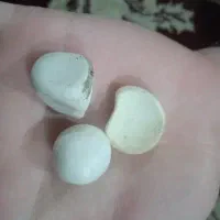 سنگ اسیاب الماس