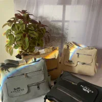 کیف|کیف، کفش، کمربند|اصفهان, سروستان|دیوار