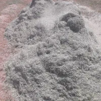 یونجه کوبیده  بذری
