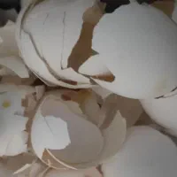 پوست تخم مرغ جهت استفاده در باغداری