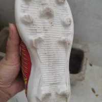 کفش چمن