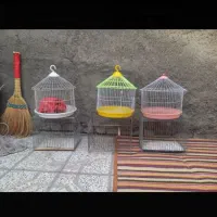 پرنده