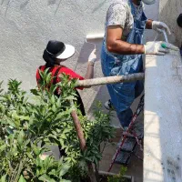 اجرای تخصصی میکروسمنت وپتینه ایتالیایی درمازندران