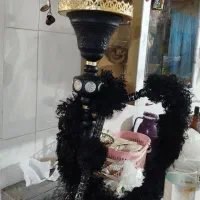 یه عدد قیلون