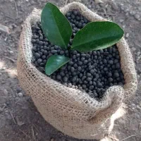 فروش کودمخصوص زیرکشت