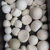 سنگ آسیاب