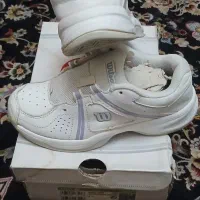 کتانی ویلسون اصل بچگانه