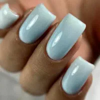 اجاره لاین ناخن