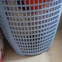 سبد بزرگ